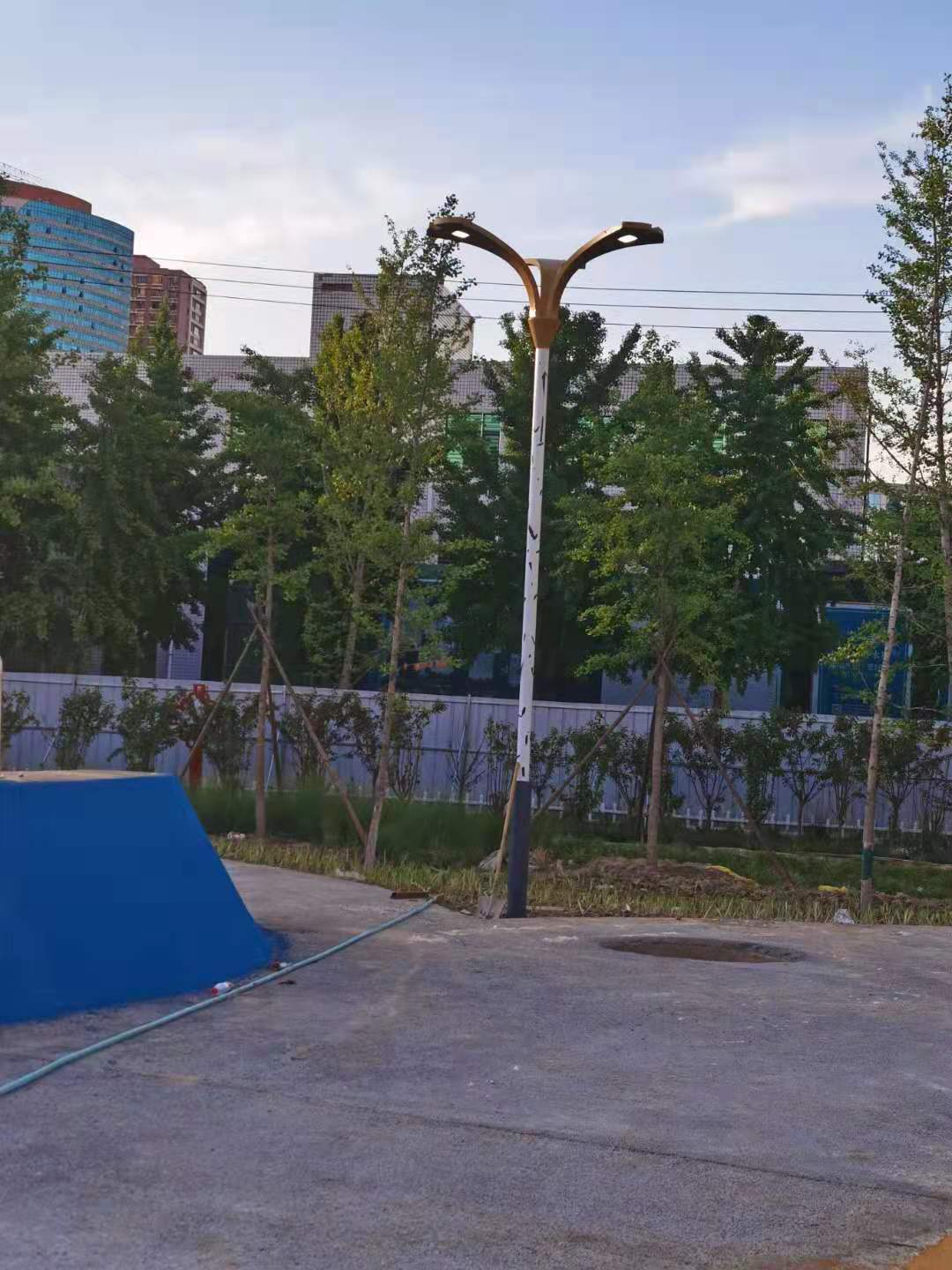 保定銀杏公園銀杏葉路燈